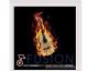 97518 Fusion - Songs of Carlebach (CD)